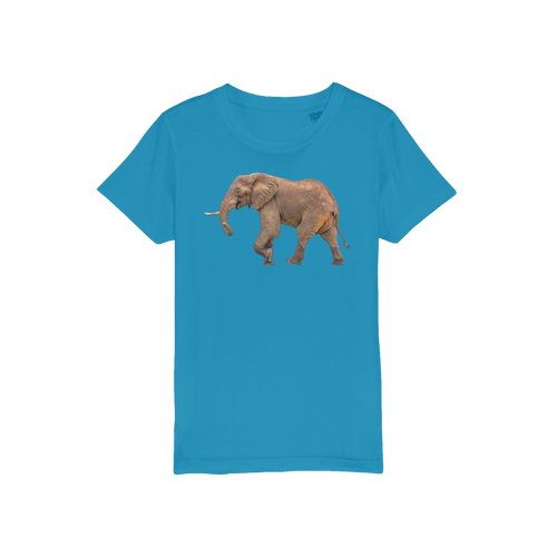 A blue elephant t-shirt for kids with a round neck. 