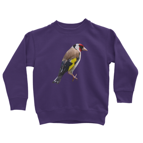 kids goldfinch sweatshirt in purple
