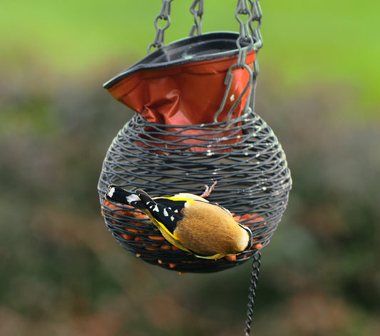 Garden bird feeder with a goldfinch