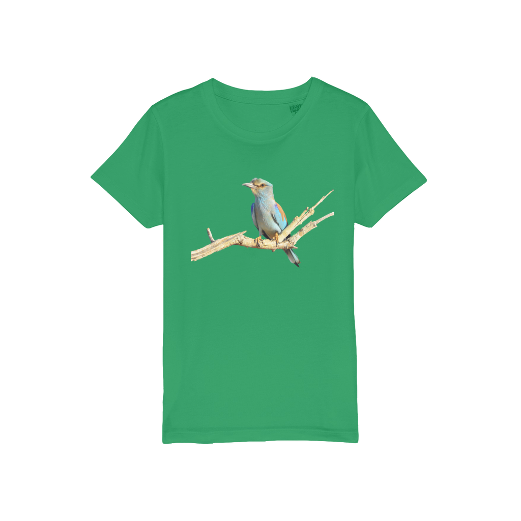 a roller bird on the front of a green tee for kids