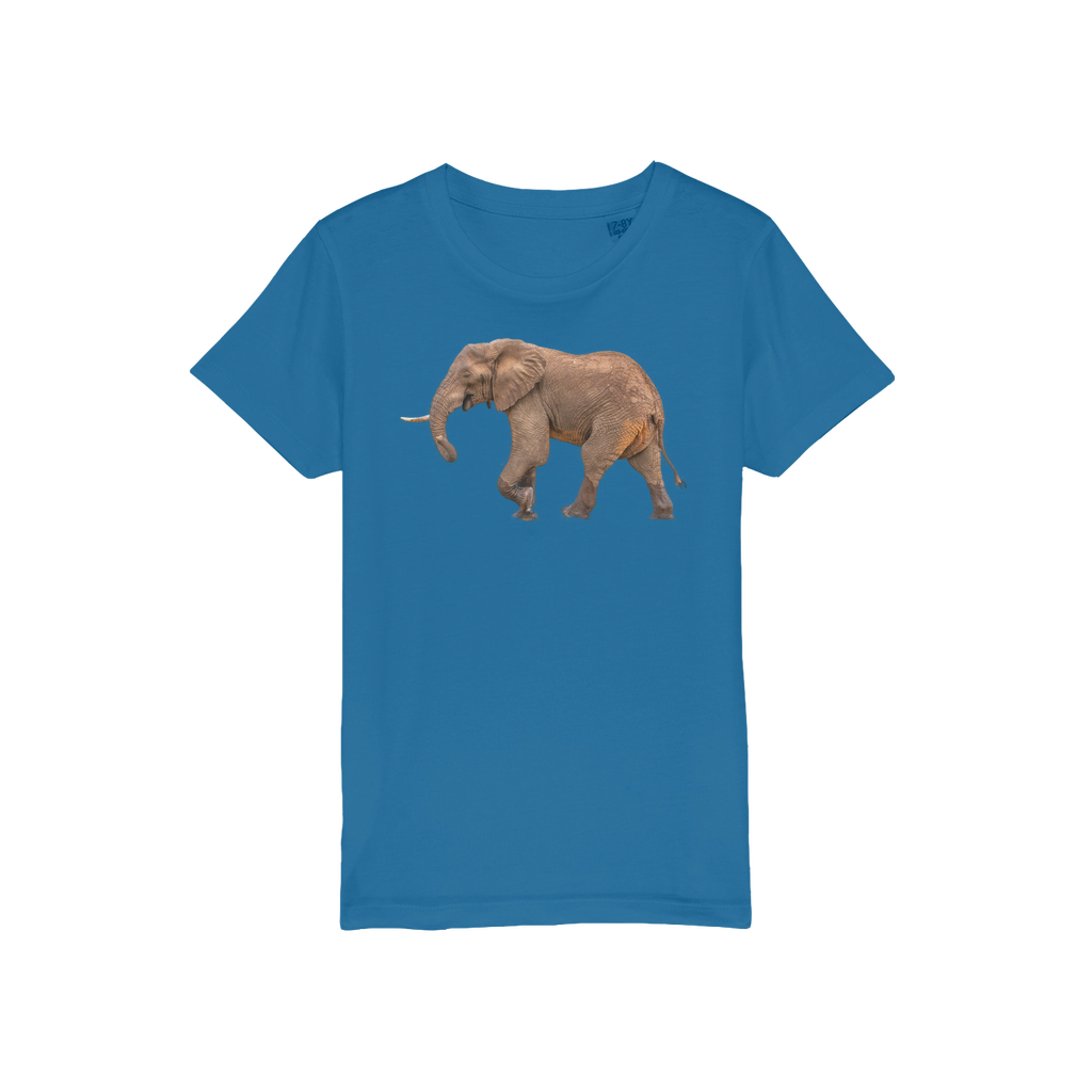 A blue shirt for kids with a round neck and an elephant on the front