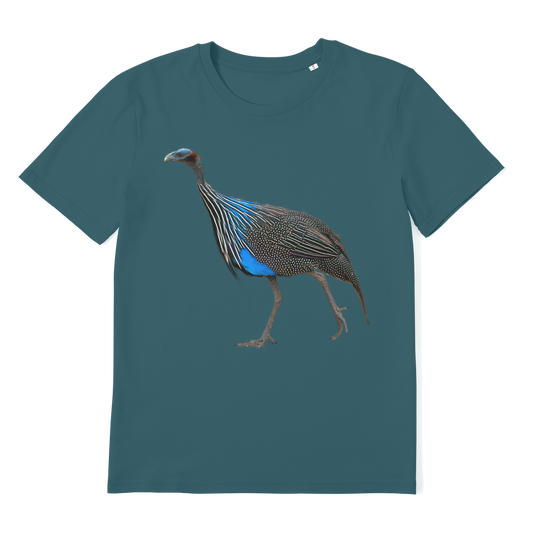 vulturine guinea fowl tshirt in turquoise