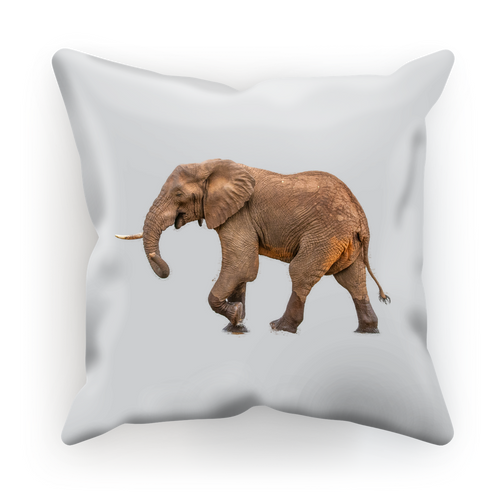 White cushion in satin or suede with a large photographic print of an African elephant. 