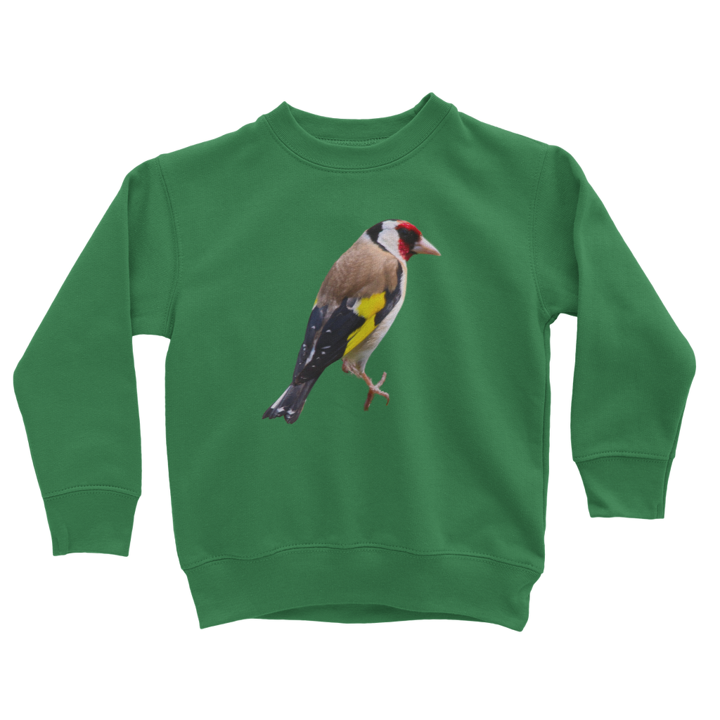 kids goldfinch sweatshirt in green