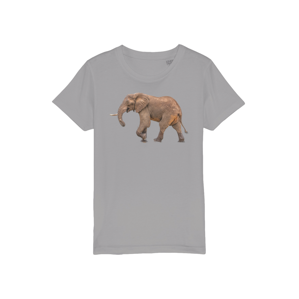 A grey t-shirt for kids with an elephant and a round neck