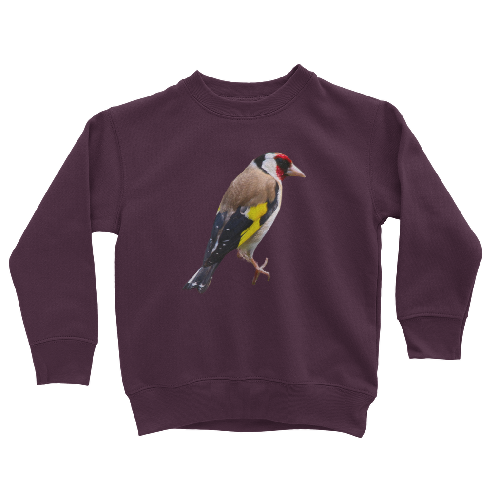 kids goldfinch sweatshirt in burgundy