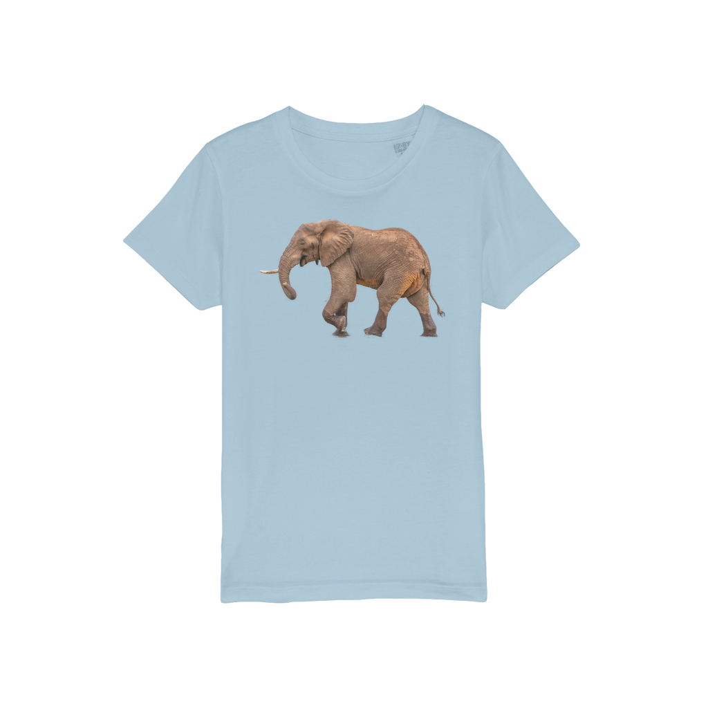 An elephant on the front of a childrens pale blue t-shirt