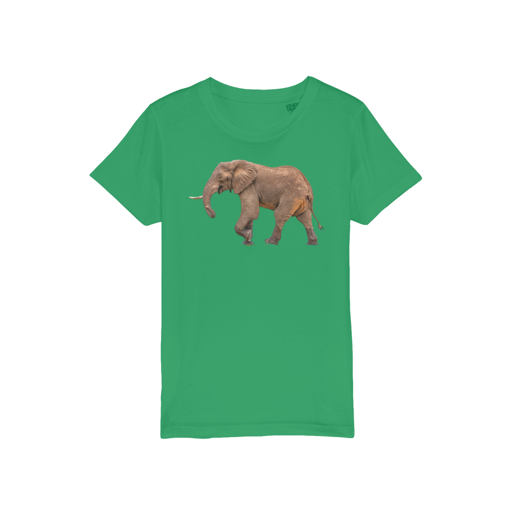 a green t-shirt for kids with an elephant on the chest