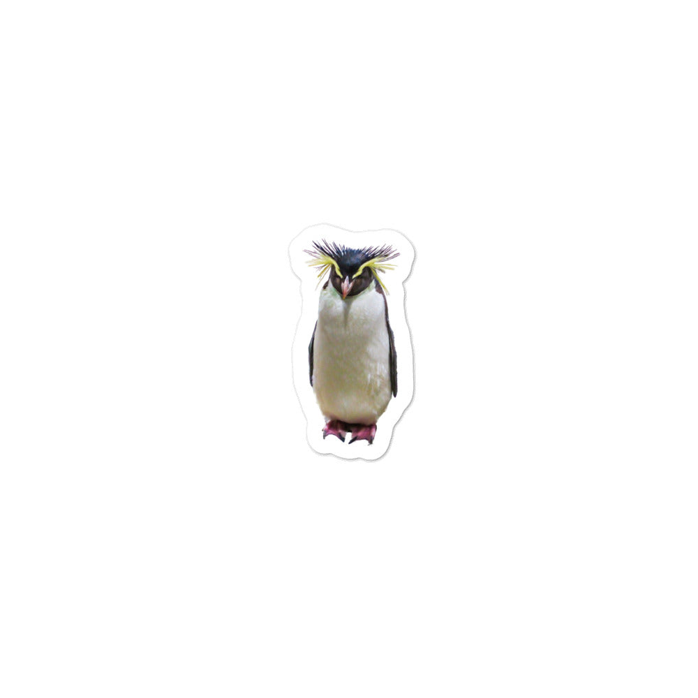 RockHopper Penguin Stickers (Bubble-free)