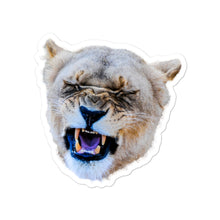 Load image into Gallery viewer, Yawning Lion Stickers (Bubble-free)
