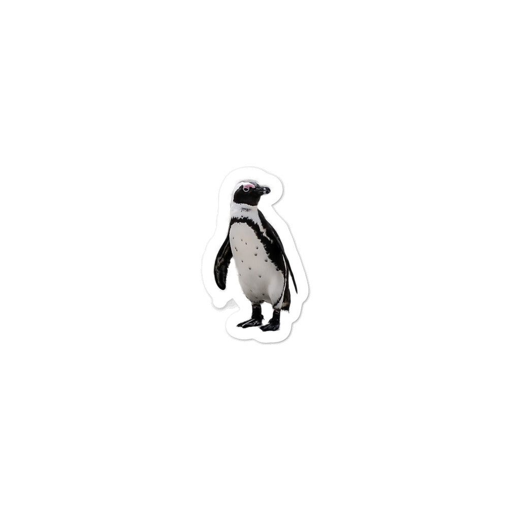 Penguin Stickers (Bubble-free)