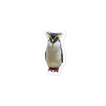 Load image into Gallery viewer, RockHopper Penguin Stickers (Bubble-free)
