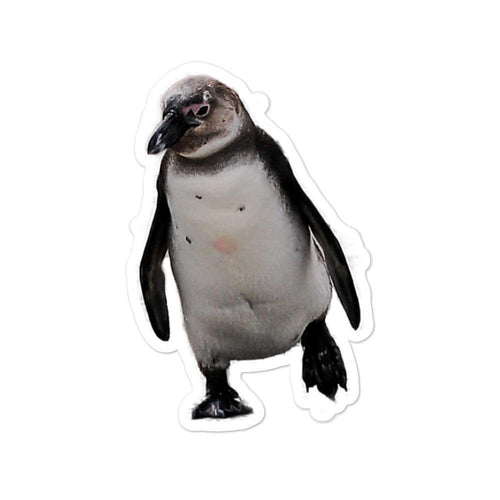 Baby Penguin | Antarctic Bird Collection | Bubble-free stickers - Sharasaur