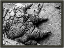 Load image into Gallery viewer, Black framed high contrast photographic print of a crocodile claw in black and white. 
