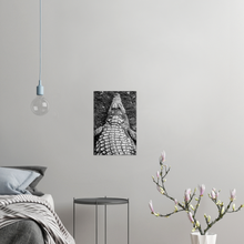 Load image into Gallery viewer, Bedroom wall with high contrast poster of a crocodile. View from over his shoulder. 
