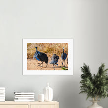 Load image into Gallery viewer, Vulturine Guinea Fowl Photography Print on an entrance wall
