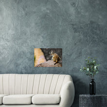 Load image into Gallery viewer, Living room with Meercat matte poster from the african wildlife collection by Sharasaur Photography
