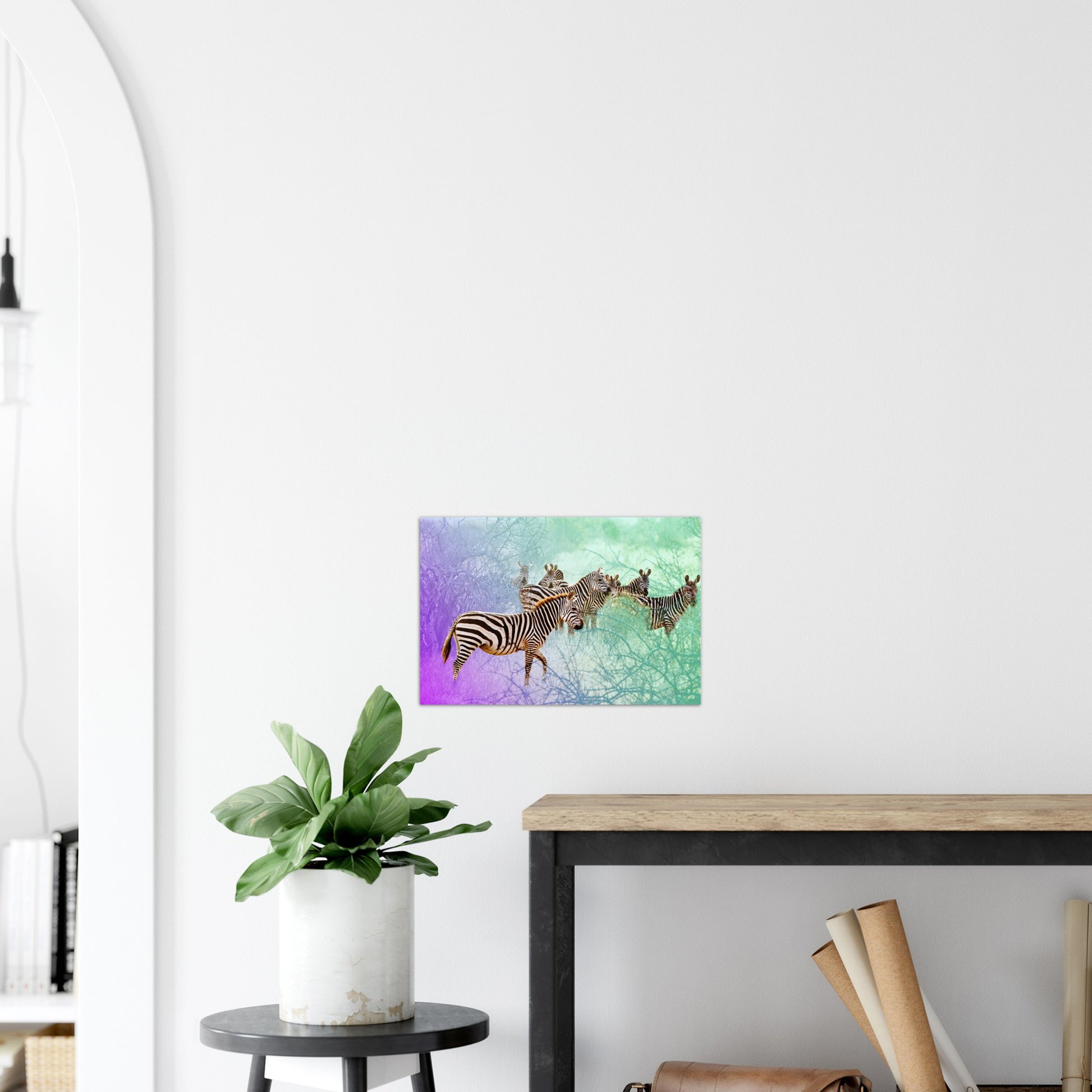 The surreal safari zebra photographic print on a white wall.