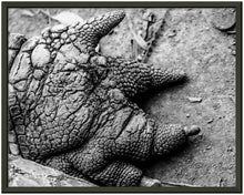 Load image into Gallery viewer, Black framed high contrast photographic print of a crocodile claw in black and white. 
